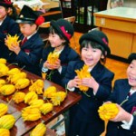 仏手柑 たわわに　キンダースクール 園児が収穫