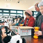 みかん使って運動会