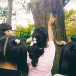 よくする法案 〜 郷土の歴史 体験学習で学ぼう