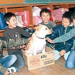 ペットの同行避難に理解を　　震災から命を守る会