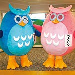 フォルテワジマ　　マスコット登場