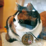 「ありがとう」たま駅長　葬儀に国内外から3000人