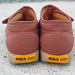 ステッカーで高齢者守れ 和歌山県内初 海南市が徘徊対策