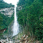 よくする法案 〜 和歌山ギネスブックを作ろう