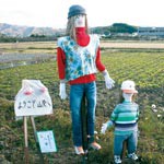 山東の自慢できる風景を　思い出の写真、絵募集