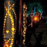 竹灯ろう８千本と花の競演　２月13日 緑花センター