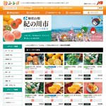 紀の川市　ふるさと納税に返礼品　果物やたまグッズなど95種