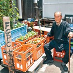 一升瓶ケースで野菜作り