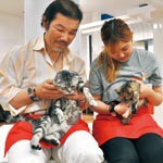 保護猫 にゃんともハッピー〜里親探しにカフェ開設