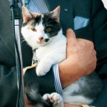 和歌山電鐵に「よんたま」仲間入り