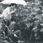 全国写真コンクｰル　今福小児童が入賞