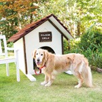 犬のホテルスタッフ？ アバロームで入社式