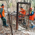 農作物 鳥獣被害減へ〜和歌山県が捕獲目標