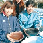 メダカ泳ぐ癒やしのカフェ