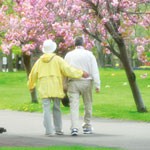 よくする法案〜自分のまち 歩く日つくろう