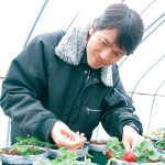 広がれ〝幸せ苺〟無農薬栽培に試行錯誤