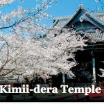 和歌山市が英語版HP