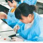 根来塗の伝統 地元高校生に