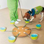 シロアリ探し お任せだワン