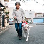 盲導犬って知ってる？