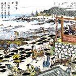 加太 風光映える海岸線