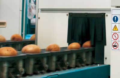 甘〜い果物 機械がチェック　ＪＡ紀の里流通センター