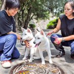 えっ、動物園にワンちゃん…!?