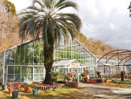 冬でもポカポカ どうやって?