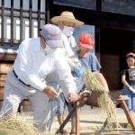 昔の道具使い脱穀体験