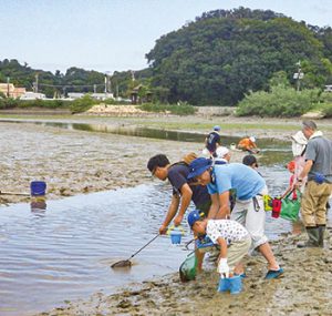 干潟の生物観察会