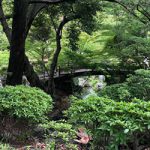 ふるさと和歌山城ワンポイント⑭　西ノ丸庭園「聴松閣」〜藩主が安らいだ空間