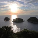 夕日からハナがフル？