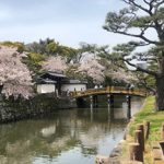 ふるさと和歌山城ワンポイント⑩一ノ橋大手門〜人を迎える平和な門