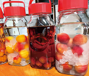 梅酒・梅シロップ作り