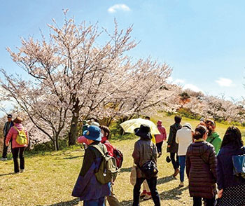 桜ウォーク ～ 桜の名所によみがえった高津子山を歩いてみませんか？