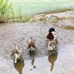わかやま道の駅めぐり22駅目「水の郷 日高川龍游」