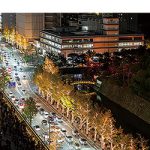 今年も輝く 和歌山の冬 〜3kmに延長 けやきライトパレード