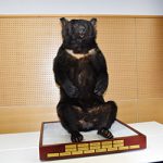 ベニー園長 ありがとう 〜 「感謝祭」ではく製お披露目