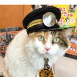 ニタマ駅長天国へ 〜 12月13日  貴志駅で社葬