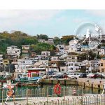 がお散歩⑤ 〜 隠れた名所、殿と一緒に再発見！