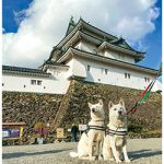お城の動物園だより56 〜 いつ来てもワクワク
