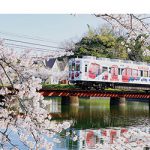 貴志川線の春を撮ろう