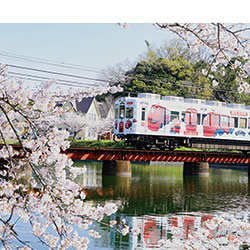 貴志川線の春を撮ろう