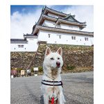 お城の動物園だより 57  〜 城主選手権 結果発表