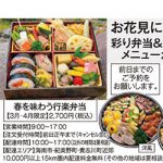 春限定の行楽弁当 登場