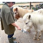 お城の動物園だより58 飼育員デビュー