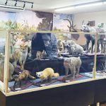 がお散歩⑨ 〜 レプリカをつくる博物館編