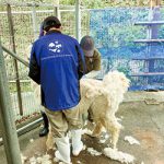 お城の動物園だより59  〜 インターンから学ぶ事