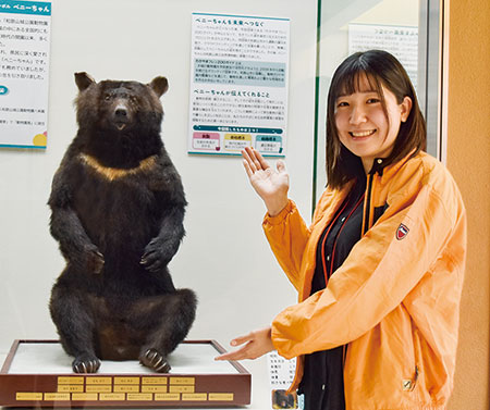 和歌山】クマのベニー はく製展示 和歌山県立自然博物館 「社長座り