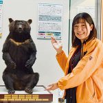 【和歌山】クマのベニー はく製展示  和歌山県立自然博物館 「社長座り」再現